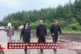 吴国峻检查指导八松乡乡村生态旅游扶贫项目建设推进情况视频封面