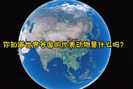 世界各国的代表动物你知道多少？视频封面