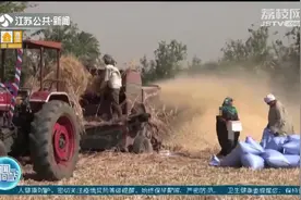 或闹粮荒？埃及加大小麦收储力度应对粮食危机视频封面