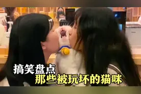 盘点那些被玩坏的猫咪，我不是人，但你们是真的狗！