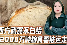 西方武器不白给，乌克兰2000万吨粮食要被运走！今年或发生大饥荒视频封面