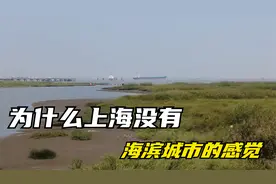 上海临海，但为什么没人说他是海滨城市，来一起看看上海的海边视频封面
