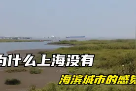 上海临海，但为什么没人说他是海滨城市，来一起看看上海的海边视频封面