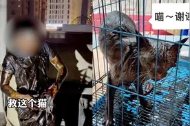 男子为救猫被困7米油烟管道，魔性广西口音逗乐网友：“我滴喵”视频封面