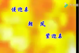 超好听的蒲剧曲牌连奏《柳青娘·朝凤·紧迎亲》喜庆祥和！