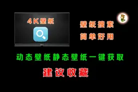 动态壁纸，静态壁纸一键搜索，太方便了
