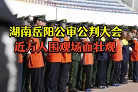 湖南公审公判大会，真实影像，现场近万人观看视频封面