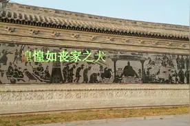 惶惶如丧家之犬视频封面