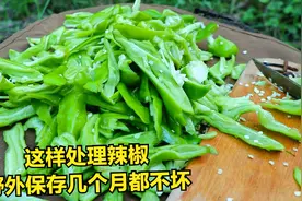 在野外这样简单粗暴处理蔬菜，保存几个月都不坏！视频封面