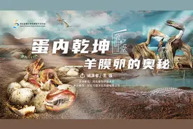 今日开讲丨王强 ：蛋内乾坤 ---羊膜卵的奥秘