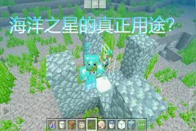 我的世界：海洋之星的真正用途，你知道吗？