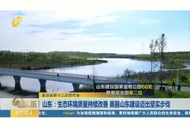 山东：生态环境质量持续改善，美丽山东建设迈出坚实步伐视频封面