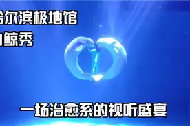 哈尔滨极地馆白鲸秀完整版（建议现场观看）视频封面