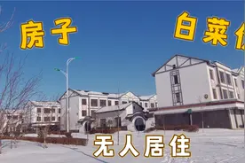 东北小镇房子白菜价，建好多年至今无人入住，真的浪费资源可惜呀视频封面