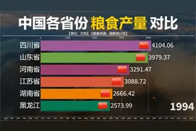 中国各省份历年粮食产量对比，你知道产粮大省都有谁？