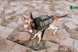 辐射4：我给狗肉穿了一件特制“狗装甲”，战斗力直接提升2倍