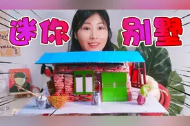 挑战DIY迷你别墅，砖头比口香糖还小，最后打造成了乡村小屋视频封面