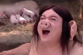 天蓬投胎转世，老母猪正好放屁崩出来视频封面