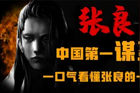 “谋略之圣”到底强在什么地方 一口气看懂张良的一生视频封面