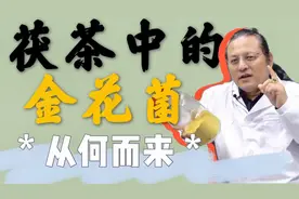 茯茶中的金花菌从何而来？是人造出来的吗？听听刘翔教授怎么说👀