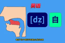 英语音标学习，[dz]