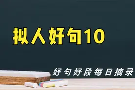 好句好段——拟人好句10