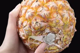 不会挑菠萝？卖菠萝老板教我诀窍，挑的又甜又多汁，一点不烂视频封面