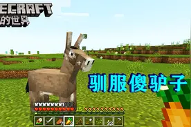 我的世界13：傻驴子不用麦子就能驯服，以后去赶集，就骑它了！视频封面