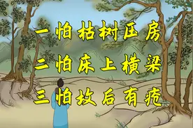 老话三怕：“床上横梁、大树压房、坟后有疮”是啥意思？有道理吗视频封面