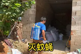 天热牛场蚊蝇太多，不能让蚊蝇打扰牛的长势，各个角落全部喷一遍