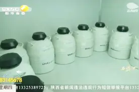 万枚零下196℃“冷冻胚胎”盼父母唤醒，医生:跟正常宝宝一样健康