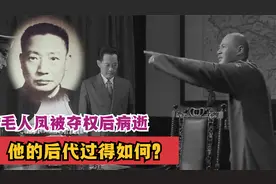 毛人凤被蒋家夺权后，郁郁而终，他的后代过得如何？视频封面