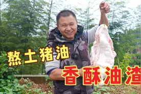 小伙熬8斤土猪油，油渣可是好东西，做两种吃法无敌下饭，太香了视频封面