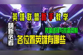 【LOL新手教学】各位置有哪些英雄，装备选择与克制。萌新必看视频封面