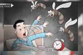 驱蚊有高招吗？科研人员又有新发现视频封面