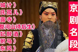 经典【京剧名段】《空城计》《赵氏孤儿》《甘露寺》《女驸马》等