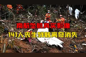 南航3943坠机真实影像，机上141人无一生还，40吨残骸离奇消失！视频封面