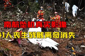 南航3943坠机真实影像，机上141人无一生还，40吨残骸离奇消失！视频封面