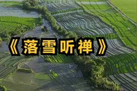 古琴《落雪听禅》纯音乐，60分钟经典版，禅意静心，养心轻音乐视频封面