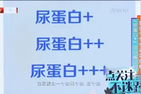 尿蛋白的加号是啥意思？视频封面