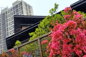 桂林：美丽的筑成.时代春晓！视频封面