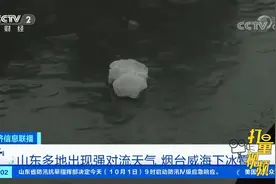 山东多地出现强对流天气！烟台威海下冰雹|经济信息联播视频封面