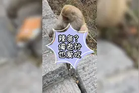 连悟空也不能拒绝辣条！这撕包装的手法也太娴熟了！视频封面