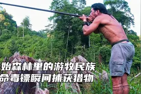 原始森林最后的部落，3秒就能钓到鱼，神秘药物能治愈所有蛇毒视频封面