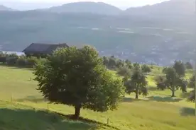 富贵不能淫，贫贱不能移，威武不能屈。视频封面