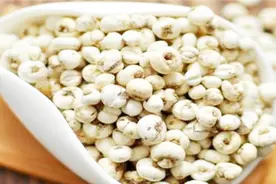 贝母的功效与作用