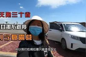 自驾“逃离”西藏，一天跑三个省，青海甘肃不敢停，到宁夏露营视频封面