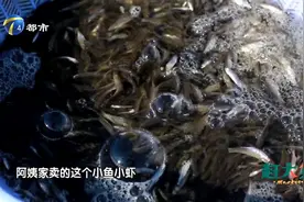 天津本地的小鱼小虾，早晨六点捕的，特别新鲜！视频封面