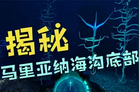 马里亚纳海沟底部究竟藏着什么秘密？跟我一起来揭秘！视频封面