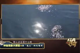 经典丨毒水泡浮着黑色淤泥 专家检测成分还做个了实验 原来是这样视频封面